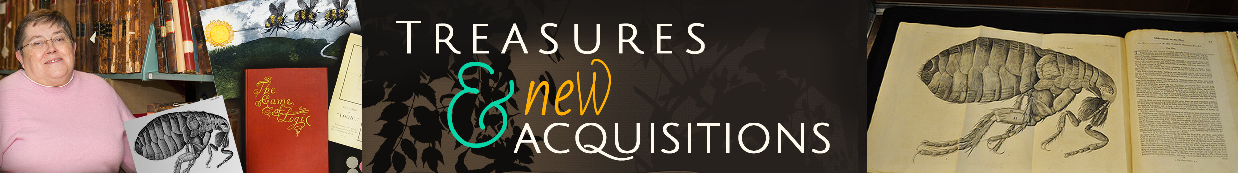 Treasures and New Acquisitions Favorites banner