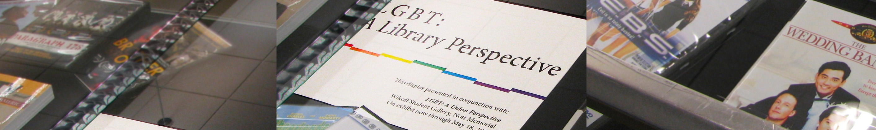 LGBTQ a library perspective 2008