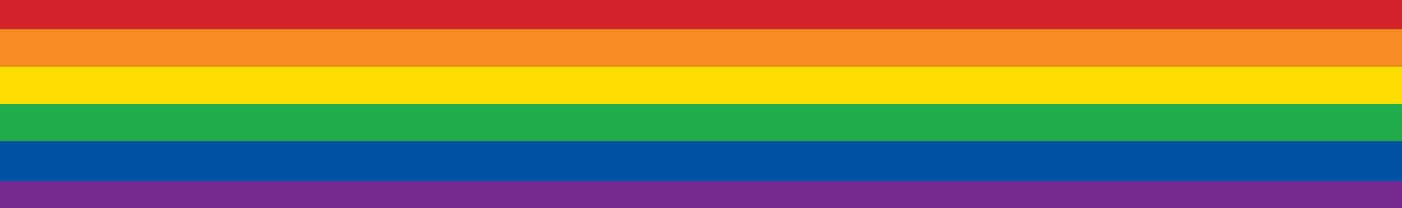 LBGTQ+ rainbow banner