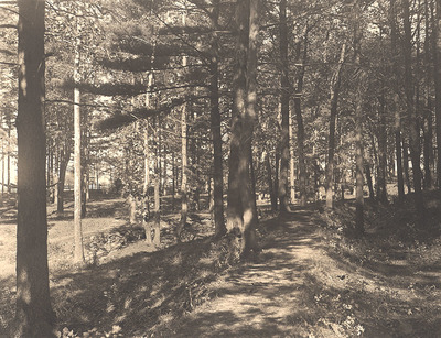 Jackson’s Garden, 1902. Union College Schaffer Library, Special Collections Picture File