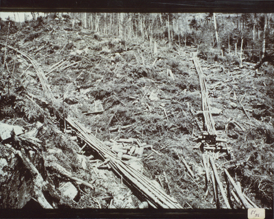 Photograph showing a hillside that has been lumbered and has sluiceways constructed on it to help send logs downhill, in the High Peaks of the Adirondack Park.