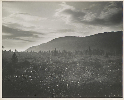 The Moose River Plains, circa 1945.