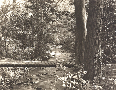 Jackson’s Garden, 1902. Union College Schaffer Library, Special Collections Picture File