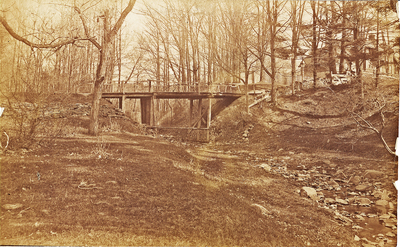 Brook viewed from the Pasture below Terrace Lane. Union College Schaffer Library, Special Collections Picture File.