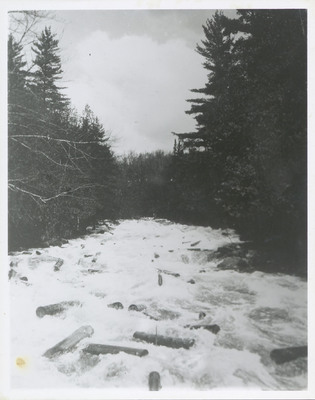 Hundreds of loose logs float down Henderson River damaging the shore line, May 1931. Bill Gluesing and Paul Schaefer took this on a trip to photograph Indian Pass from Henderson Lake.