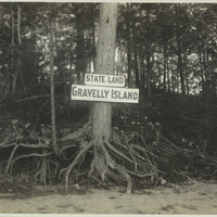 Tree on Gravelly Island, Lake George, NY, before riprapping, 1918.