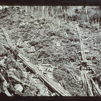 Photograph showing a hillside that has been lumbered and has sluiceways constructed on it to help send logs downhill, in the High Peaks of the Adirondack Park.