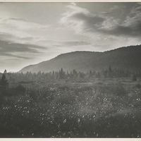 The Moose River Plains, circa 1945.