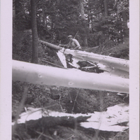 Lumberjack stripping bark and cutting logs for transport with a handsaw along the Upper Hudson River.